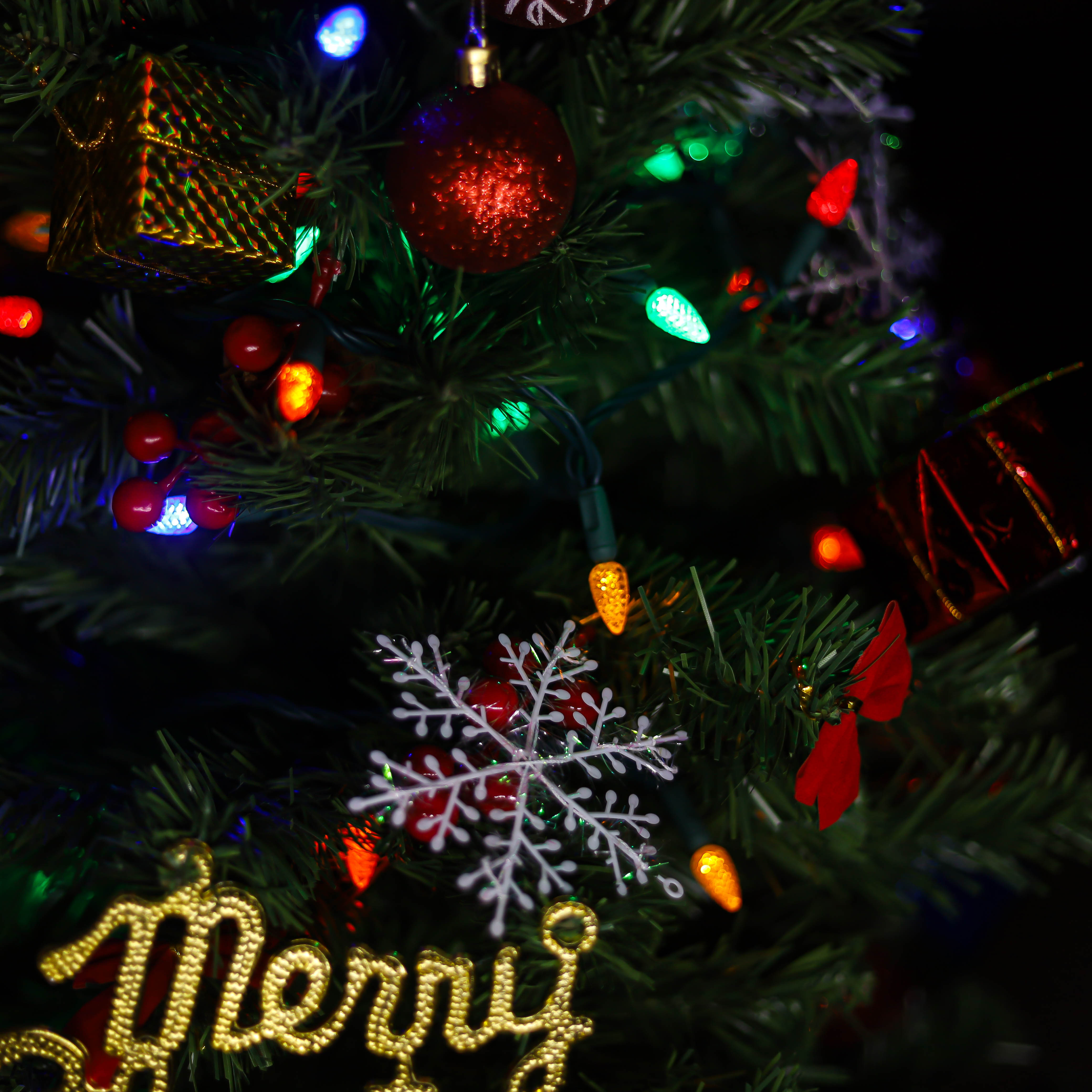 UL C3 LED ストリング ライト屋外多色のクリスマス ライト