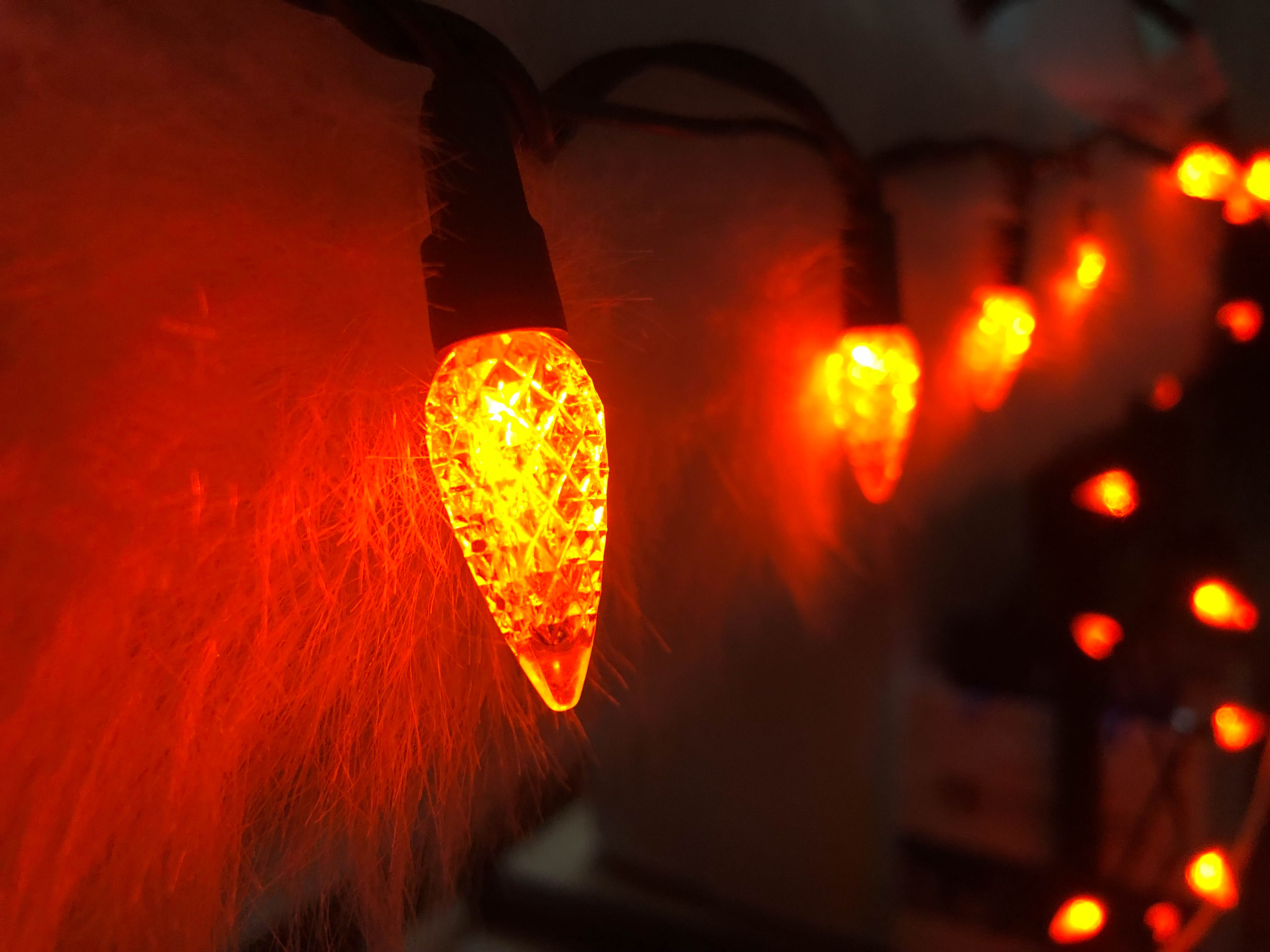 22 AWG ワイヤー UL 防水屋外使用オレンジ LED C6 イチゴ LED ストリング ライト