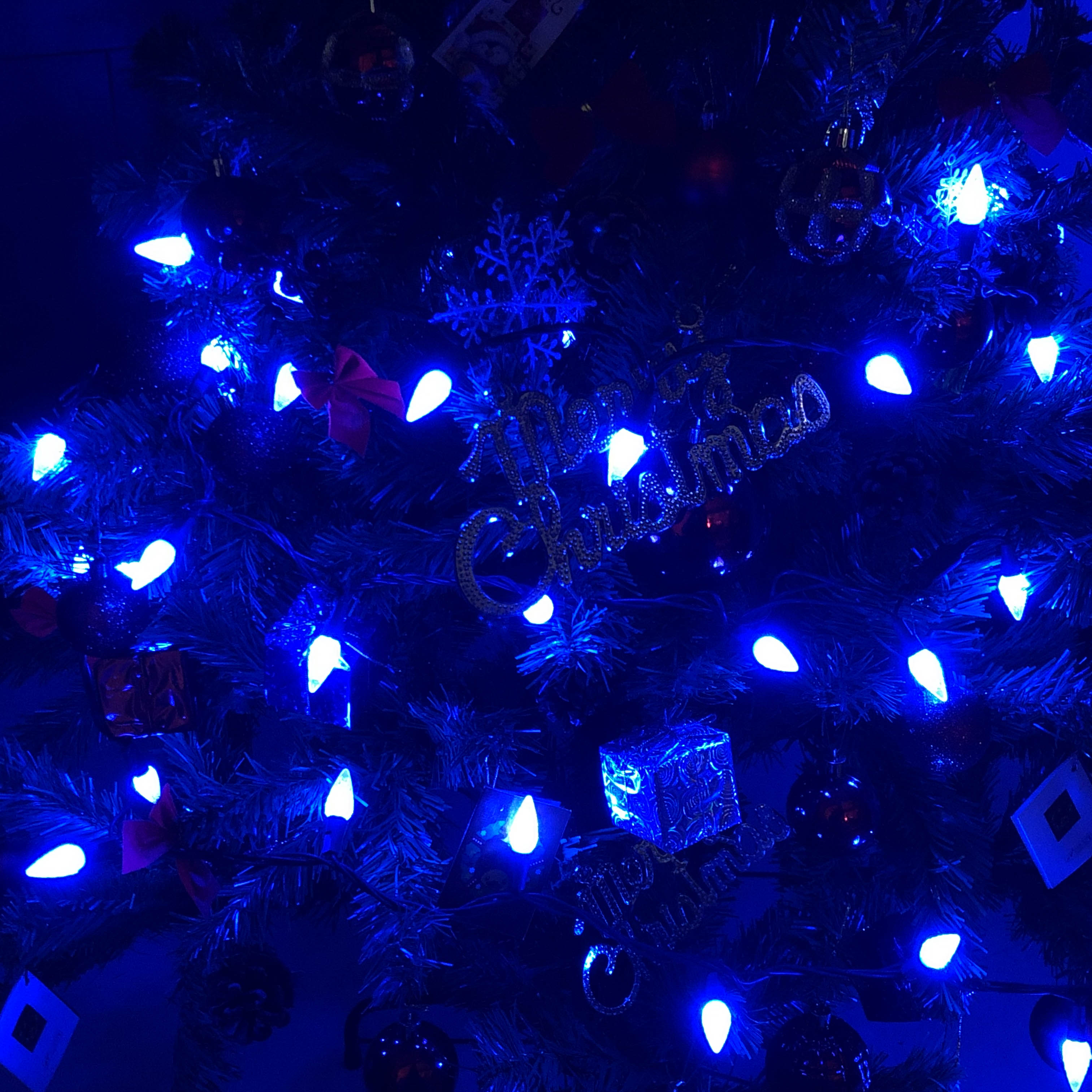 UL C6ブルーストロベリークリスマスライト