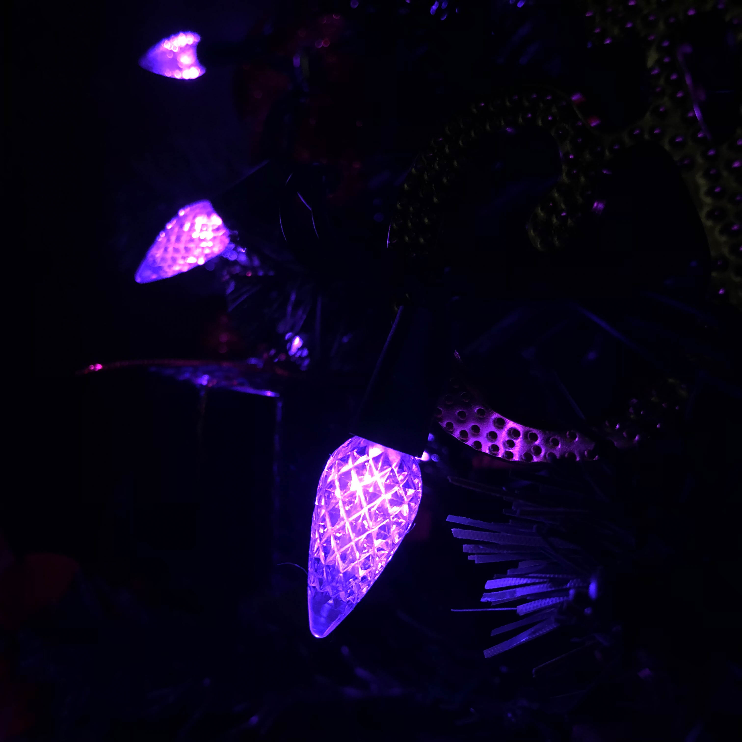 C6 ストロベリー LED ストリング ライト UL パープル ライト セット