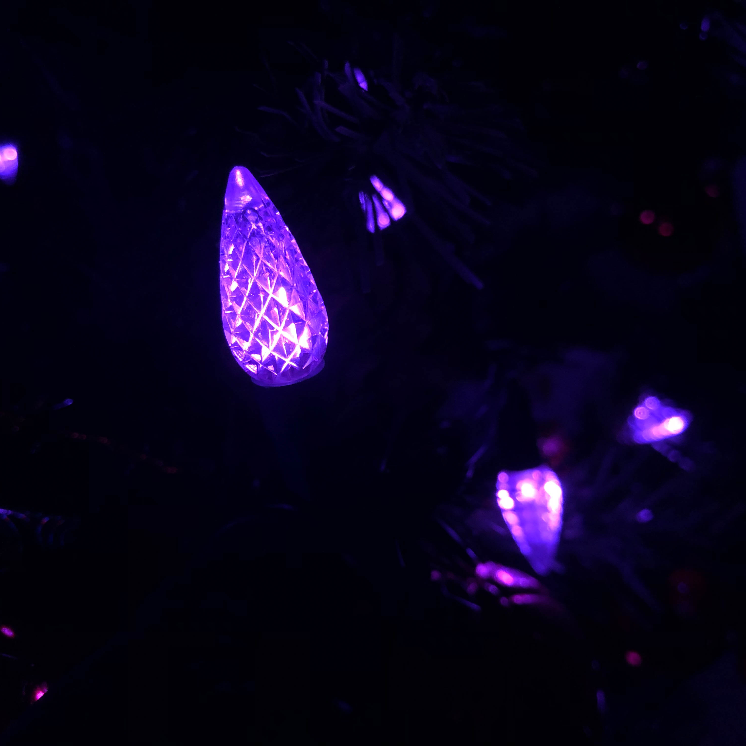 C6 ストロベリー LED ストリング ライト UL パープル ライト セット