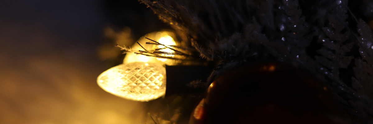 C7 クリスマス交換用電球 